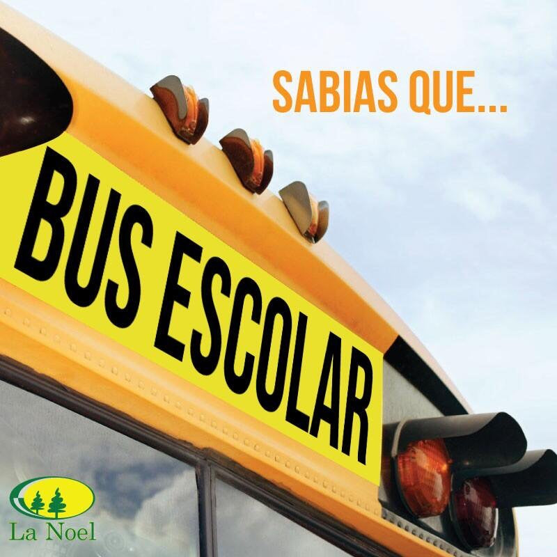 Transporte escolar